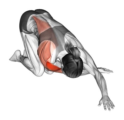 Posterior Deltoid Stretch