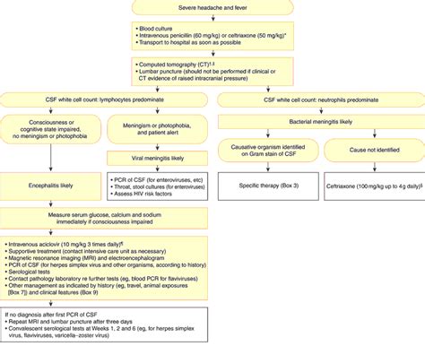 Diagnosis: Viral Meningitis Diagnosis