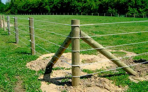 Farm Fencing Cost: 2023 Price Guide