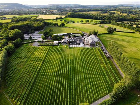 Llanerch Vineyard | VisitWales