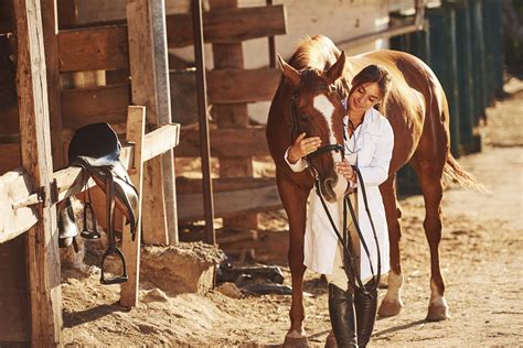 New study to explore the effects of Equine Cushing’s disease - Northern ...