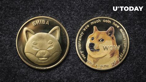 New Shiba Inu (SHIB) and Dogecoin (DOGE) Pairs Now Supported by This ...