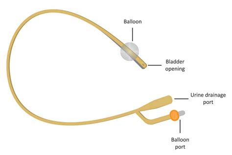 Catheter Diagram Catheter Deflated Foley