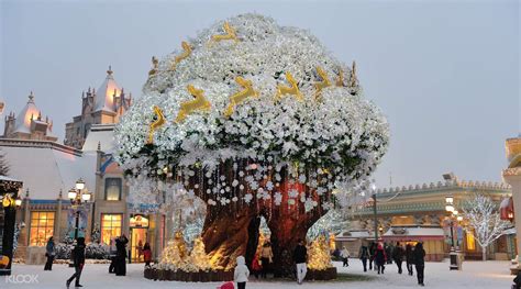 everland korea - Living + Nomads – Travel tips, Guides, News & Information!