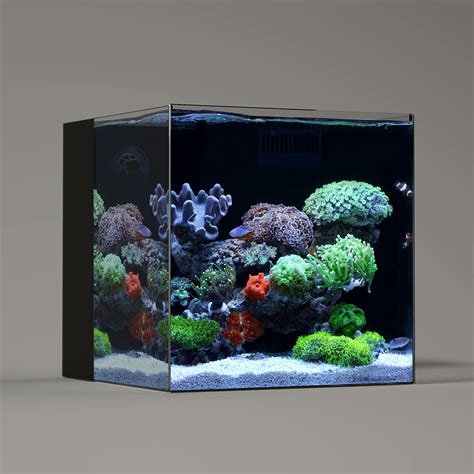 Buy LANDEN 40C 16 Gallon Ultra Clear Glass Rimless Low Iron Aquarium ...