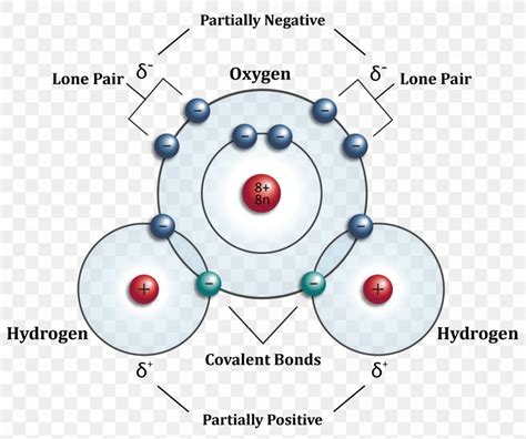 Hydrogen Atom Water Molecule Molecular Orbital Diagram, PNG ...