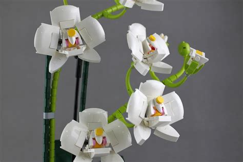 LEGO Ideas Orchid Achieves 10,000 Supporters - The Brick Fan