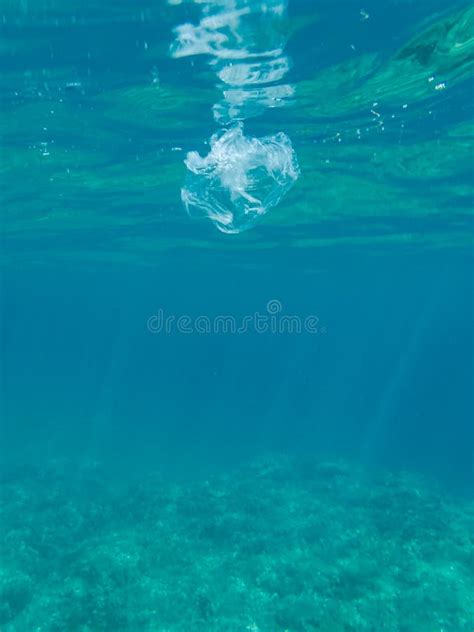 Plastic Litter in the Ocean Stock Image - Image of blue, seascape ...