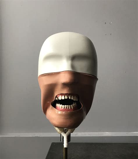 Dental Manikin with Articulating Stand — AGENT GALLERY CHICAGO