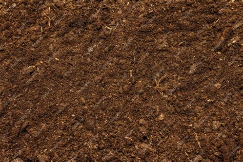 Premium Photo | Soil texture background for gardening concept ...