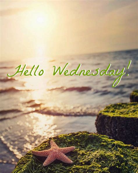 Happy Wednesday coastal lovers ~ | Wednesday quotes, Good morning wednesday