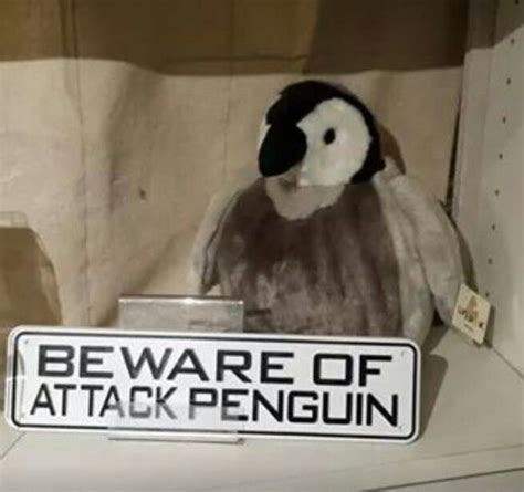 Attack Penguins!!! | Penguins, Penguin love, Penguin awareness day