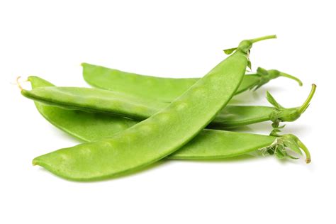 Snow Peas – Trikaya Online Store