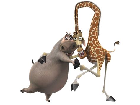 gloria & melman | Madagascar movie, Madagascar, Giraffe