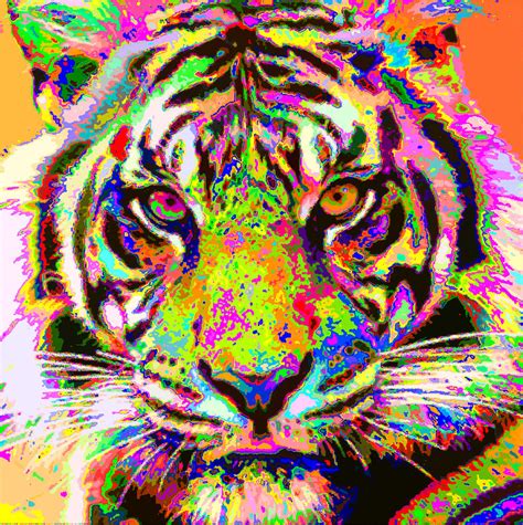 Colorful Tiger Painting by Samuel Majcen | Fine Art America