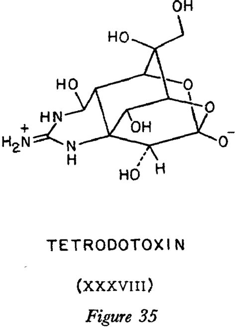 The Structure of Tetrodotoxin as a free base. - Henry Rzepa's Blog ...