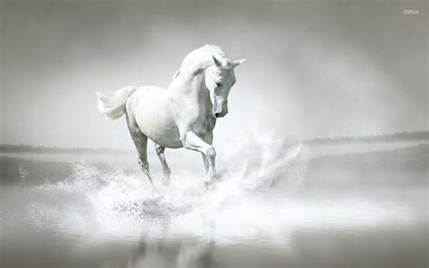 White Horse Wallpapers - Top Free White Horse Backgrounds - WallpaperAccess