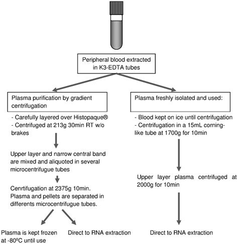 Flow chart of the different plasma processing methods. | Download ...