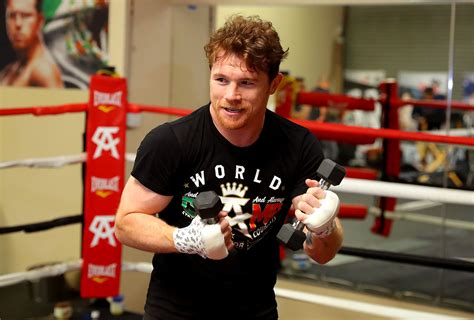 Canelo Alvarez Training Camp Notes as He Prepares for Gennady Golovkin ...