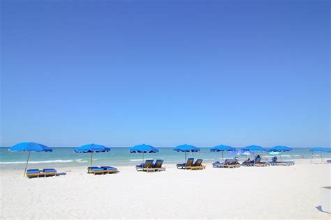 Sandalwood Beach Resort in St. Petersburg - Clearwater | Best Rates ...