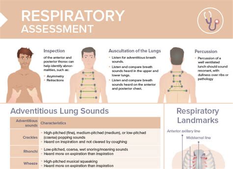 Respiratory Assessment [+ Free Cheat Sheet] | Lecturio