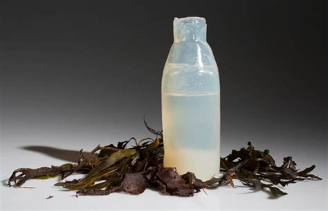 This Degradable Algae Water Bottle Breaks Down As Soon As It’s Empty