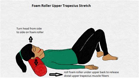 Stretching Exercises For Trapezius Muscle