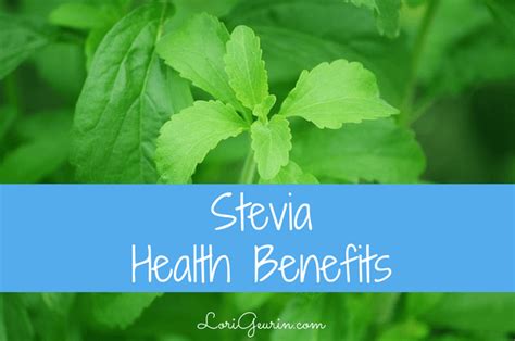 Stevia Health Benefits, Safety And Inside Information • LoriGeurin.com