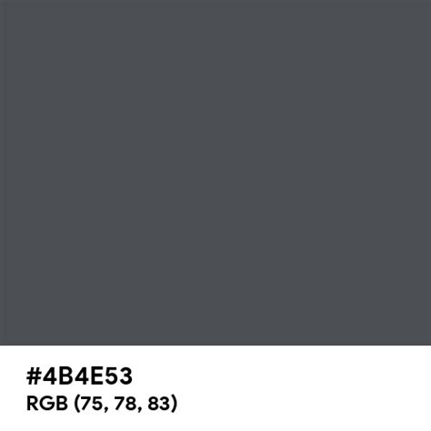 Graphite Gray color hex code is #4B4E53