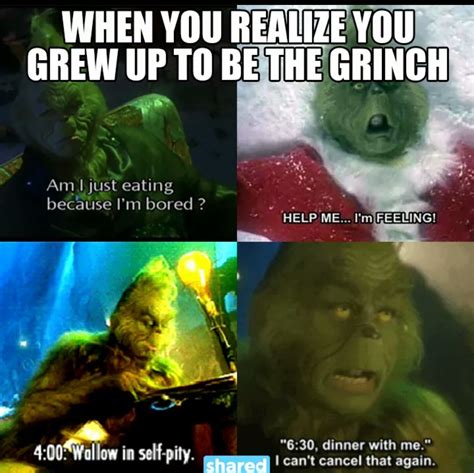 Pin by Haley Conklin on Funnies | Grinch memes, Grinch quotes ...