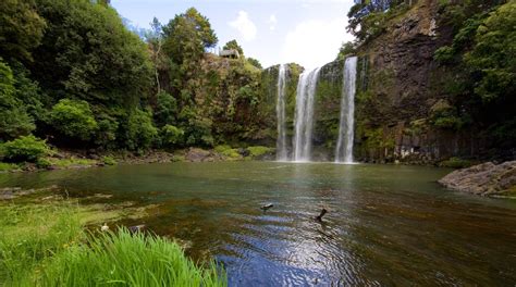 Whangarei Falls - Whangarei Attraction | Expedia.com.au