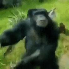 Monkey Monkey Dancing GIF - Monkey Monkey Dancing Monkey Vibing ...