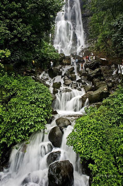 Amboli Ghat Waterfall | Waterfall, Nature, Places to travel