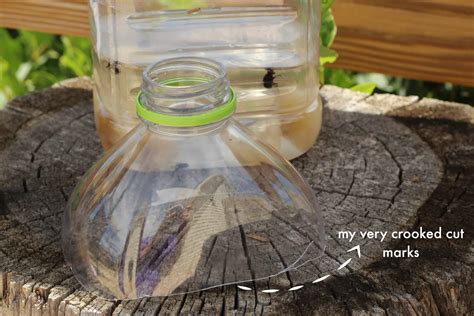 Homemade Fly Trap | The Prairie Homestead