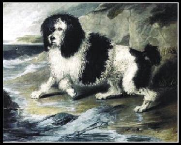 Poodle History - Isle of Standard Poodles