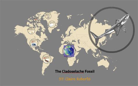 The Cladoselache Fossil by claire roberts on Prezi