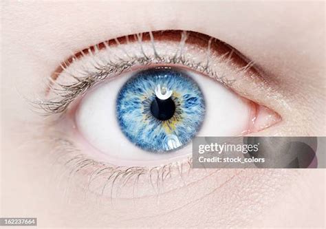 32,888 Sapphire Blue Eyes Stock Photos, High-Res Pictures, and Images ...