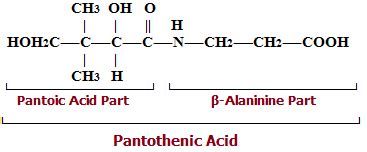 Vitamin B5 (Pantothenic Acid) - Occurrence, Biochemical Role ...