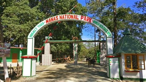 Manas National Park, Assam – Safari | Currylines – Caroline's