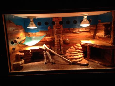 Vivarium for Puff the Bearded Dragon | Recinto de reptiles, Terrarios ...