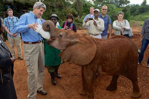 The Daphne And David Sheldrick Elephant Orphanage • UK