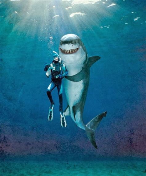 All the Funny Ones ! : Shark Attack Facts