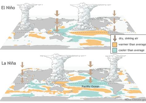 Ongoing climate change could lead to a "permanent El Niño".