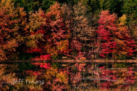 Fall Gallery Rhode Island - New England Fall Foliage