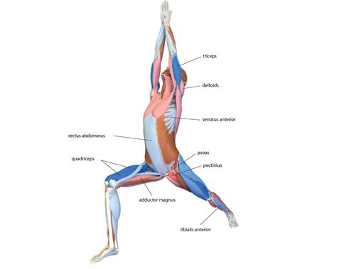 Warrior 1 Pose: How to Practice Virabhadrasana I