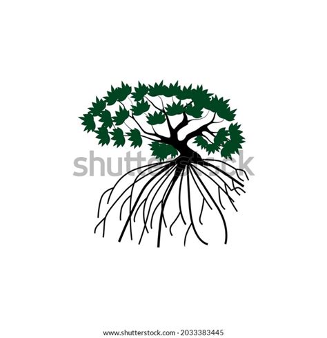 Tree Vector Illustrations Roots Mangrove Tree Stock Vector (Royalty ...