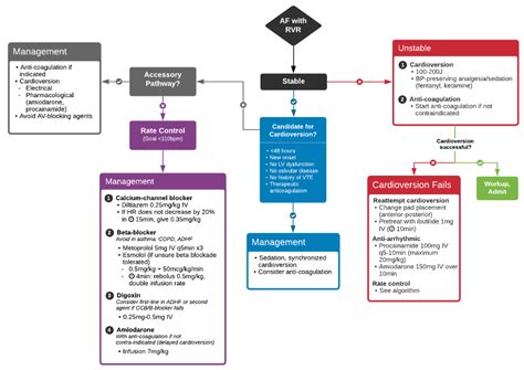 A case presentation of a patient with atrial fibrillation, includes an ...