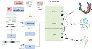 Efficiently processing single-cell and single-nucleus RNA-sequencing ...