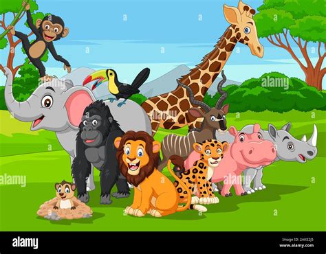 Jungle Animals - img-lard