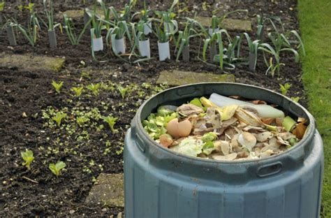 Composting Bins